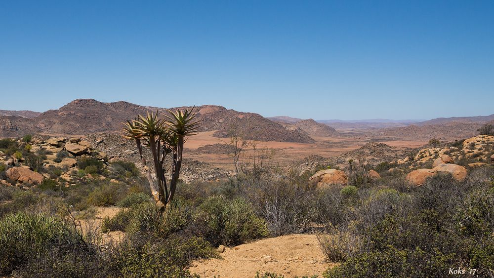 Namaqualand