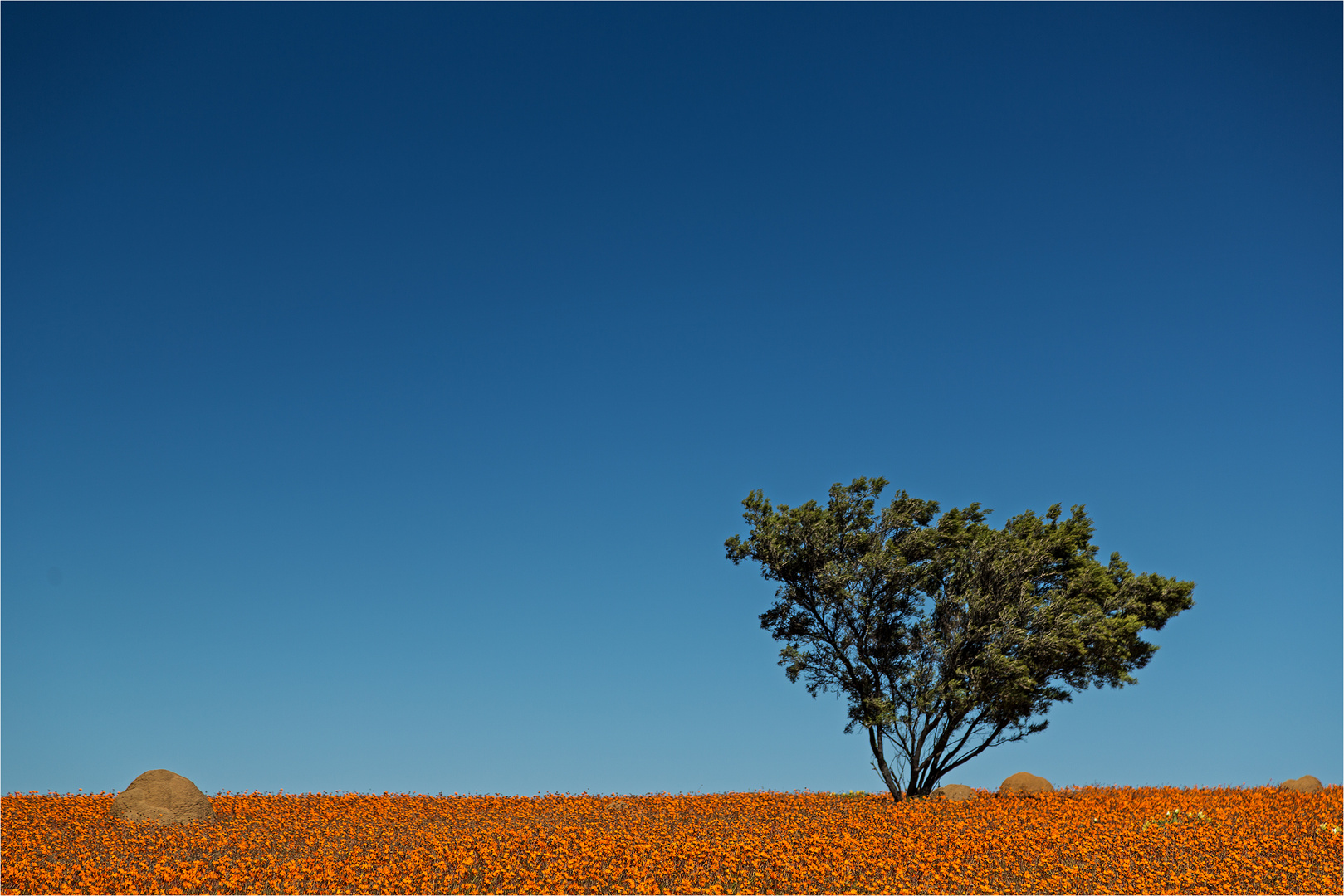 Namaqualand