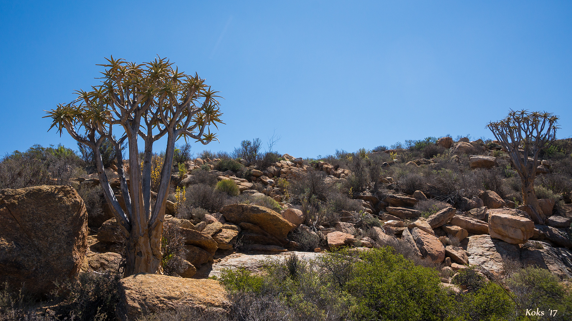 Namaqualand