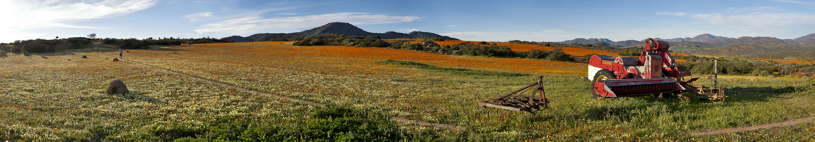 Namaqualand im Panorama