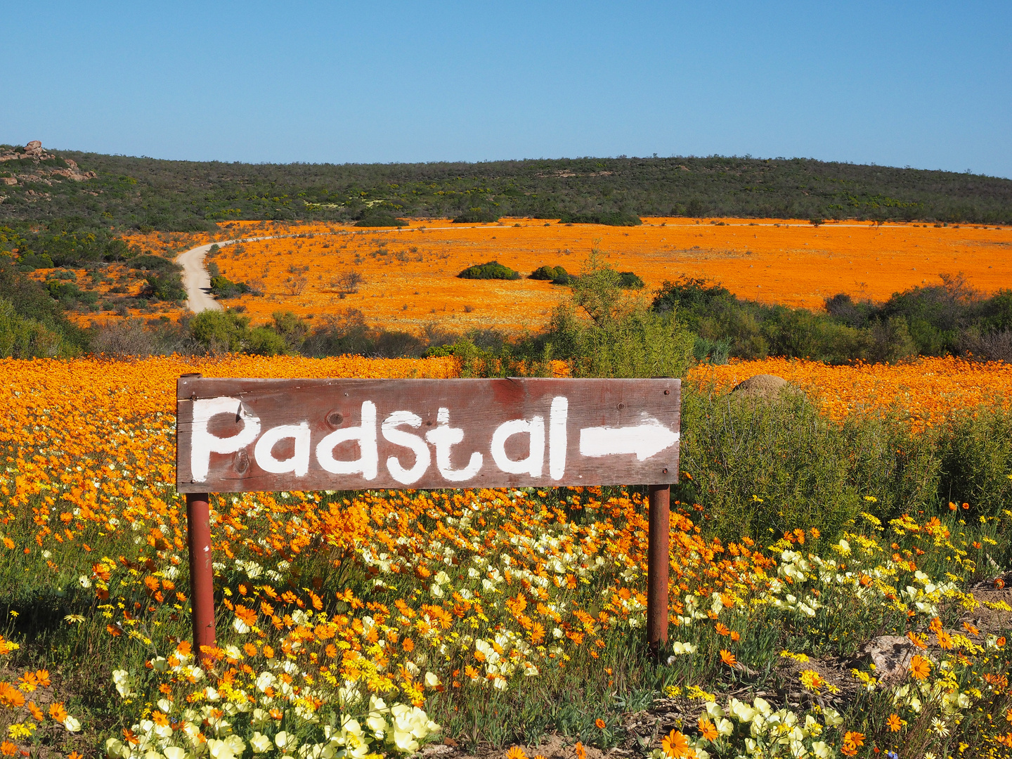 Namaqualand National Park 3