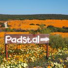 Namaqualand National Park 3