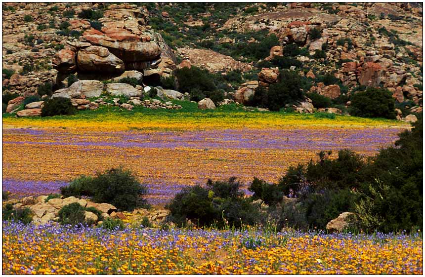 NAMAQUALAND Scape 10