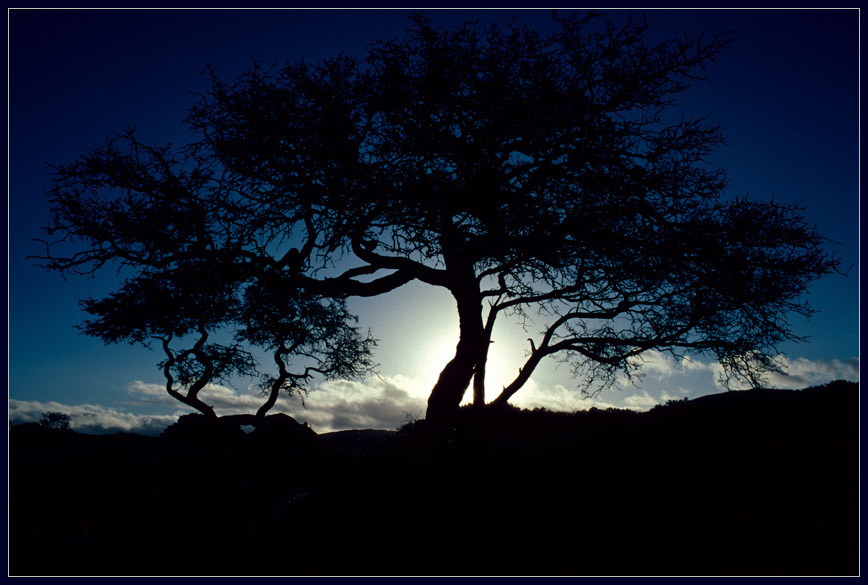 NAMAQUALAND Scape 11