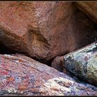 NAMAQUALAND Scape 13