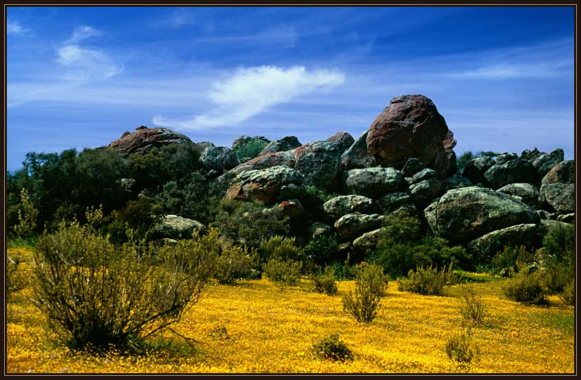 NAMAQUALAND Scape 15