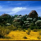 NAMAQUALAND Scape 15