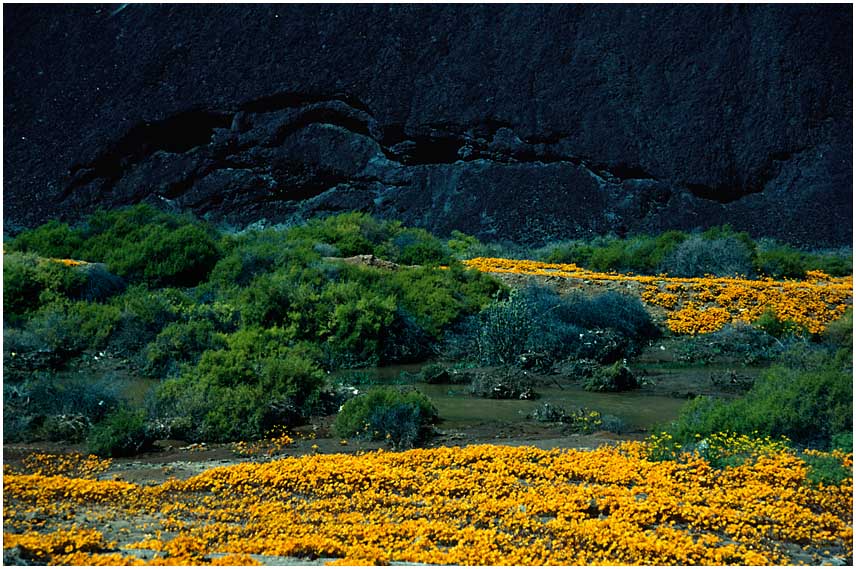 NAMAQUALAND Scape 16