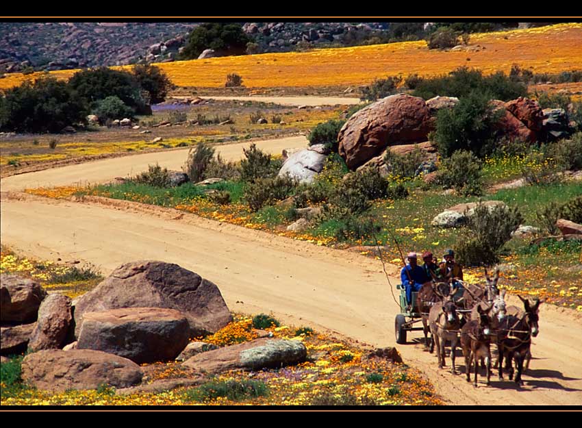 NAMAQUALAND Scape 2