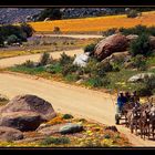 NAMAQUALAND Scape 2