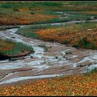 NAMAQUALAND Scape 8