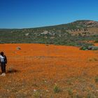 Namaqualand South Africa