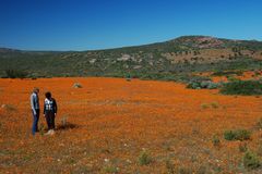 Namaqualand South Africa