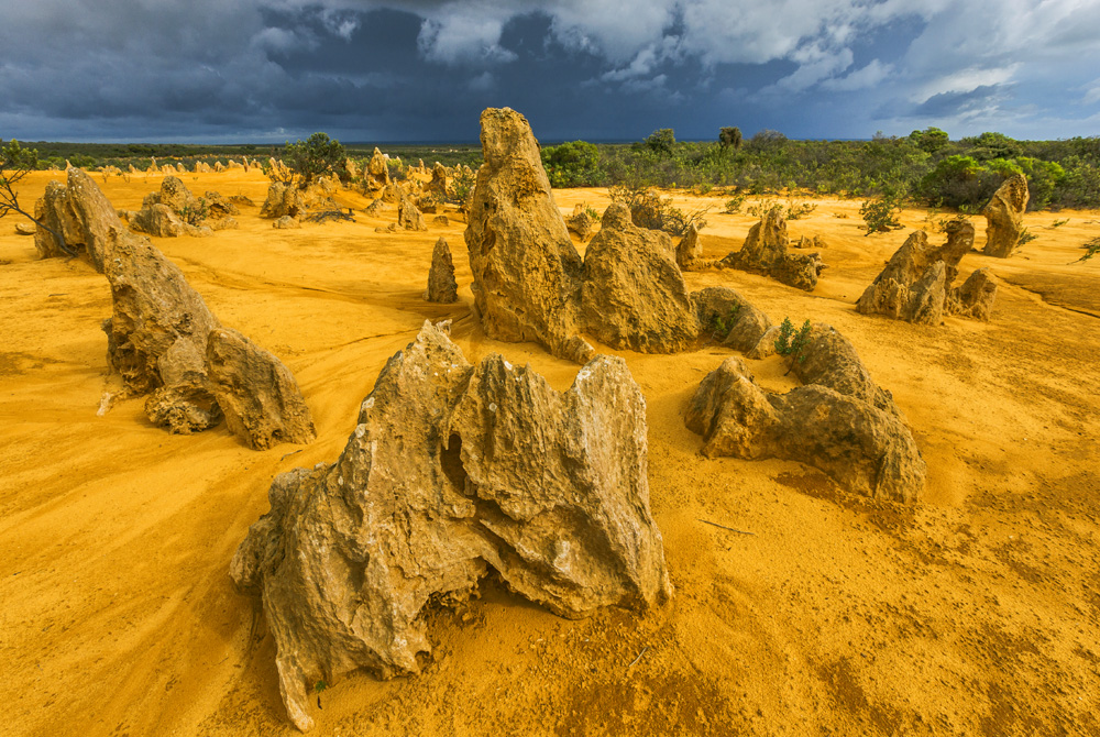 Nambung WA von Tom Bögli 