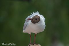 Name ? Ort in Schottland