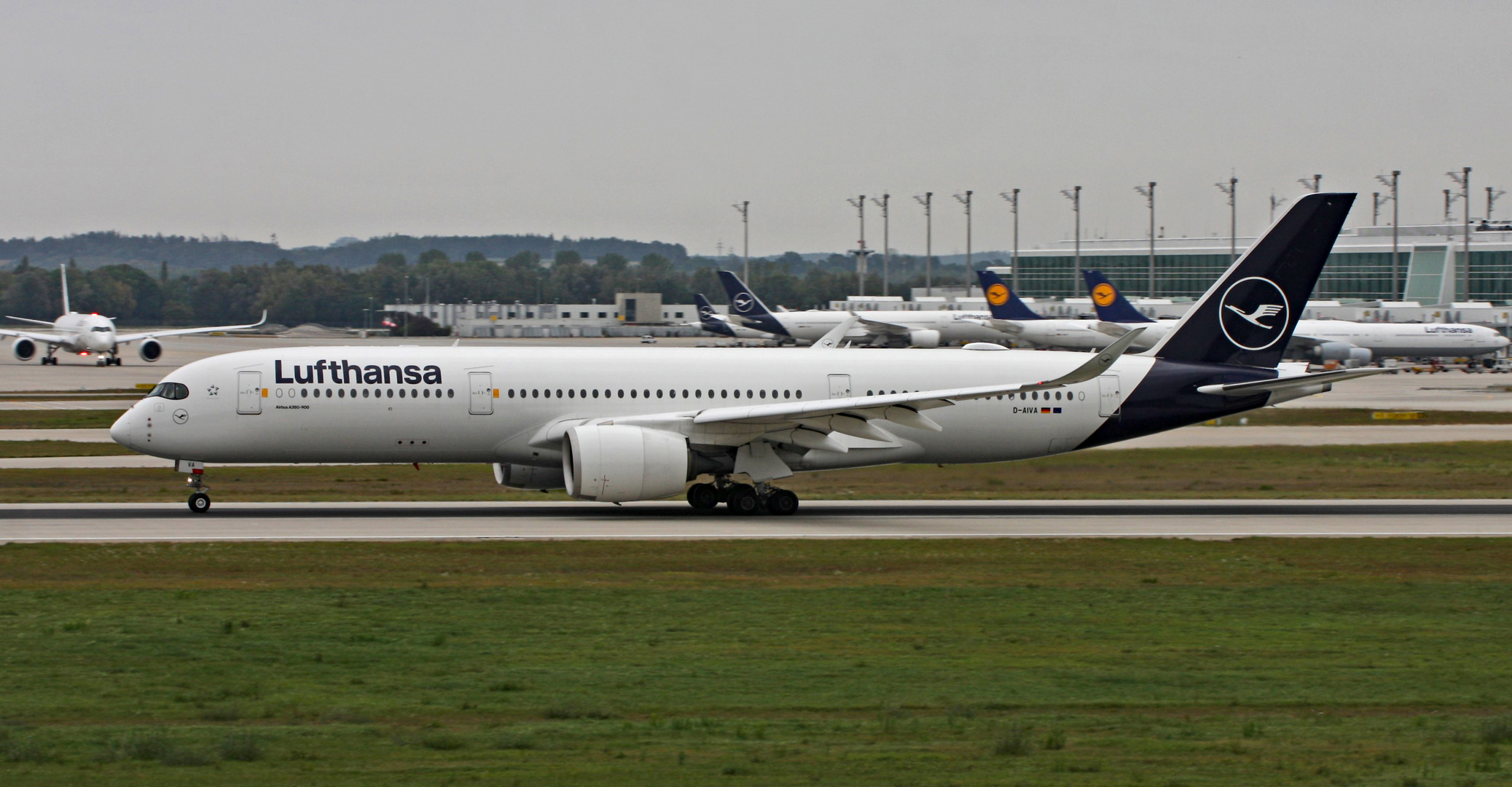 Nameless A350