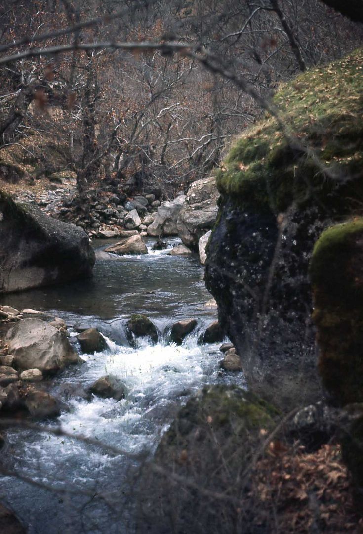 Nameless river in Kurdistan