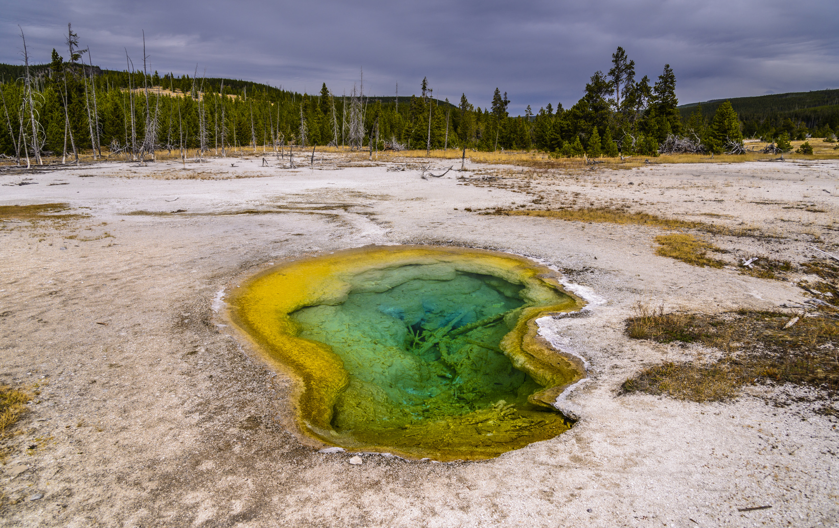 namenloser Pool im Biscuit Basin, Yellowstone NP, Wyoming, USA