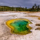 namenloser Pool im Biscuit Basin, Yellowstone NP, Wyoming, USA