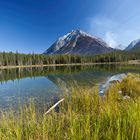 namenloser See zwischen Mud Lake und Spray Lake, Smith Dorrien Road, Spray Valley Province Park