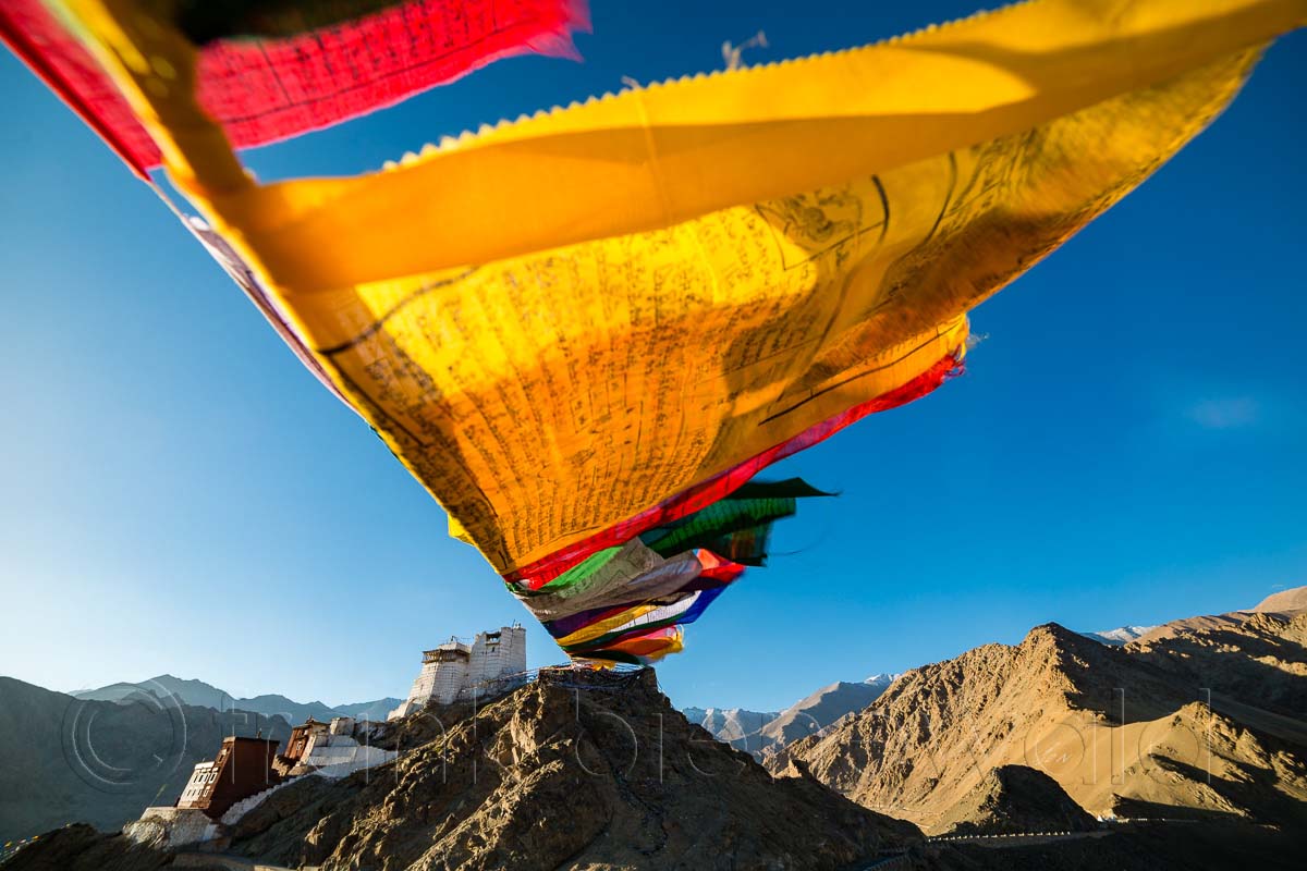 Namgyal Tsemo Gompa