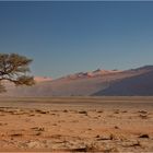 Namib 02