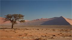 Namib 02