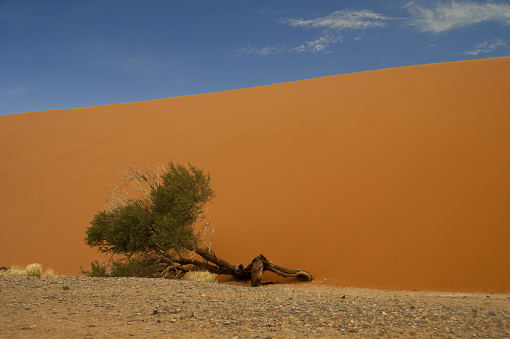 Namib