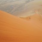 Namib 1