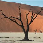 Namib 10