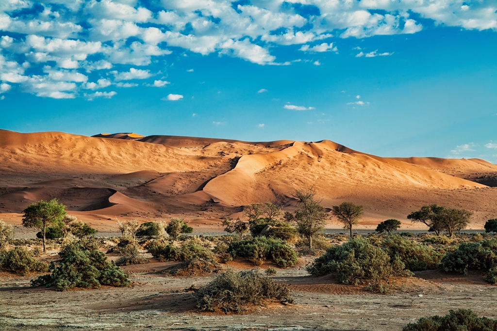 Namib