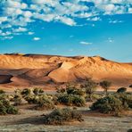 Namib