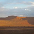 Namib 2