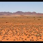 Namib 2