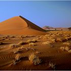 Namib (2)