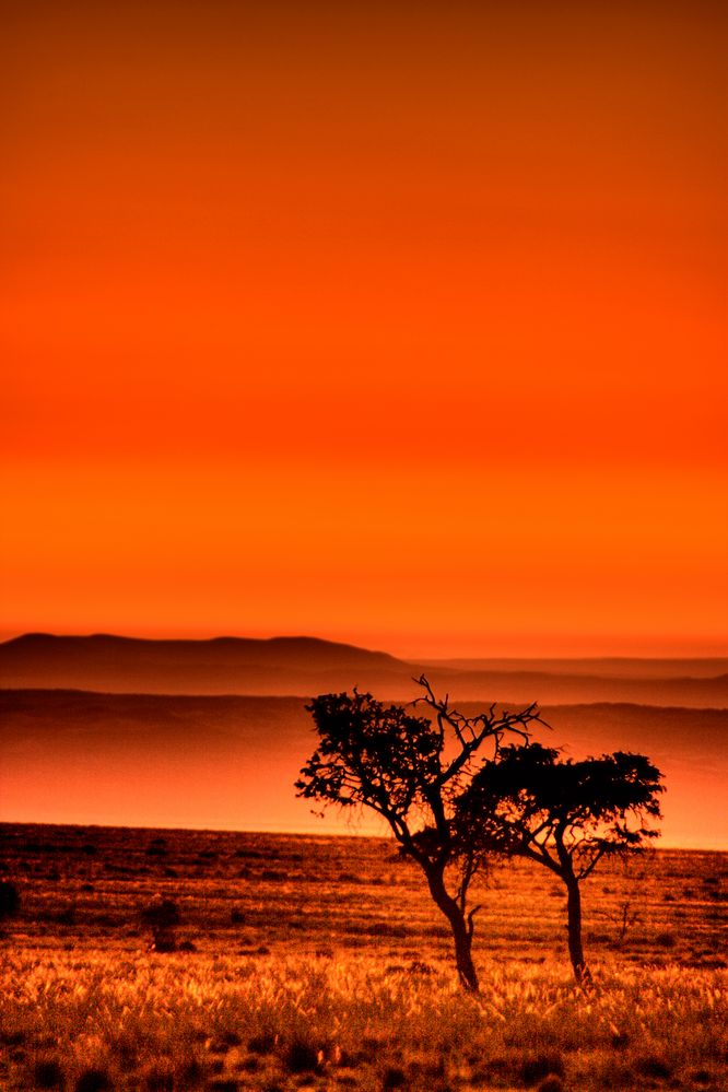 namib