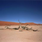 Namib