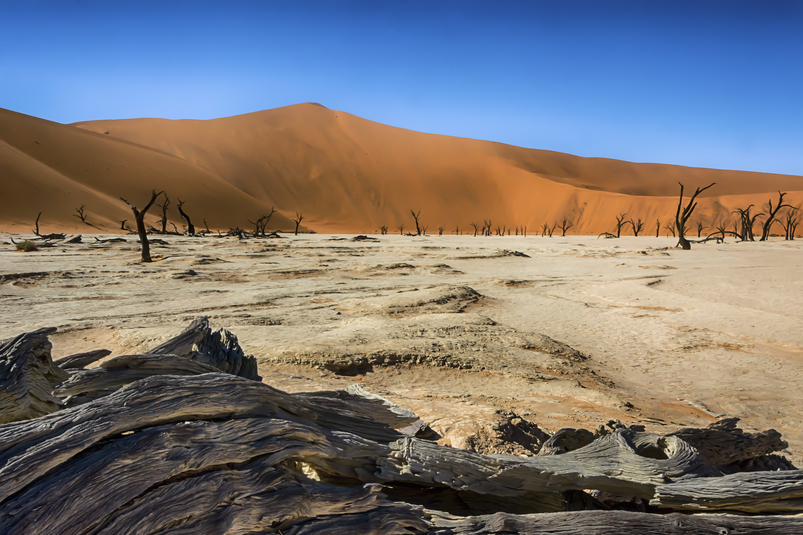 Namib