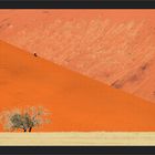 Namib