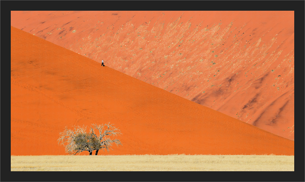 Namib