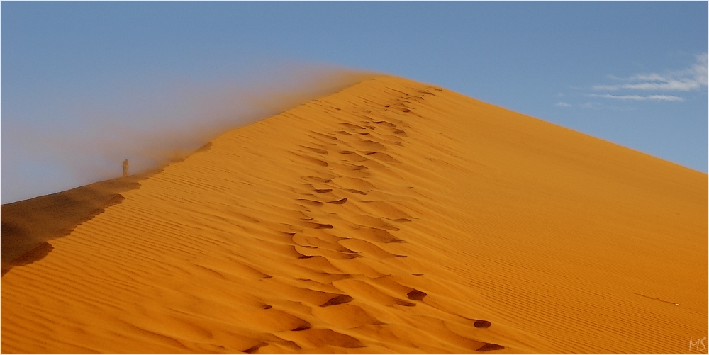 Namib # 3