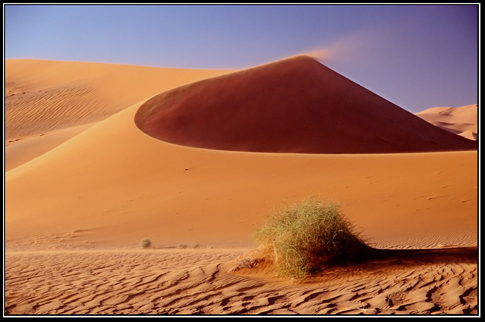 Namib von Norbert Bauer