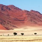 Namib