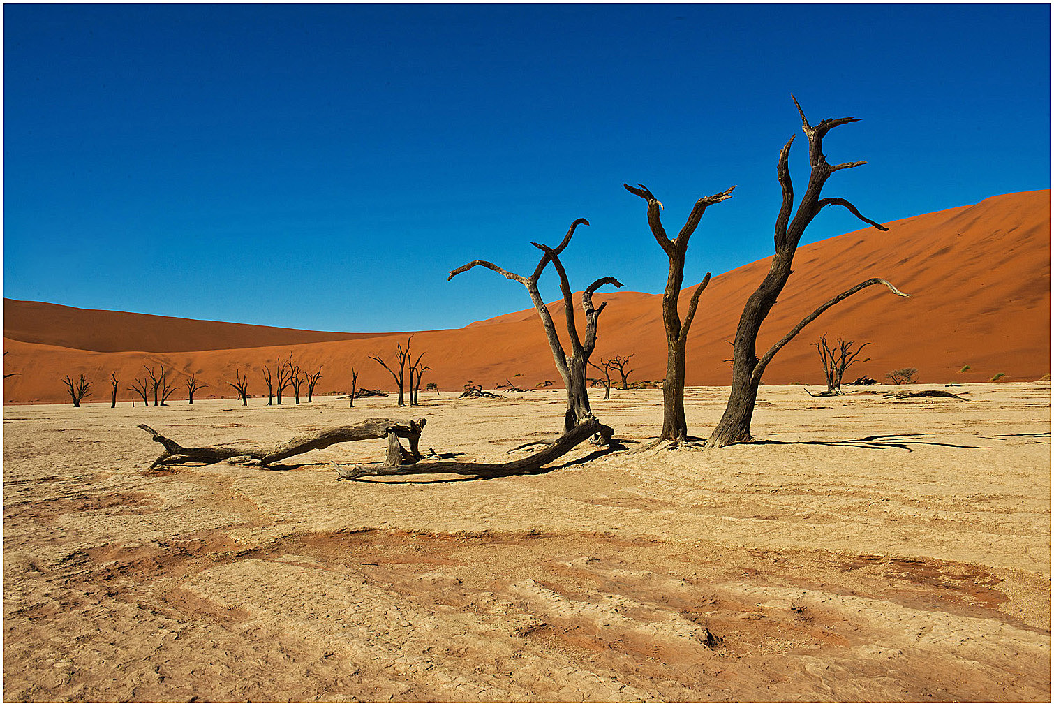 Namib