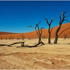 Namib