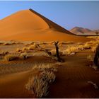 Namib (4)