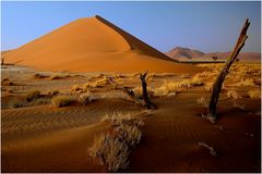 Namib (4)