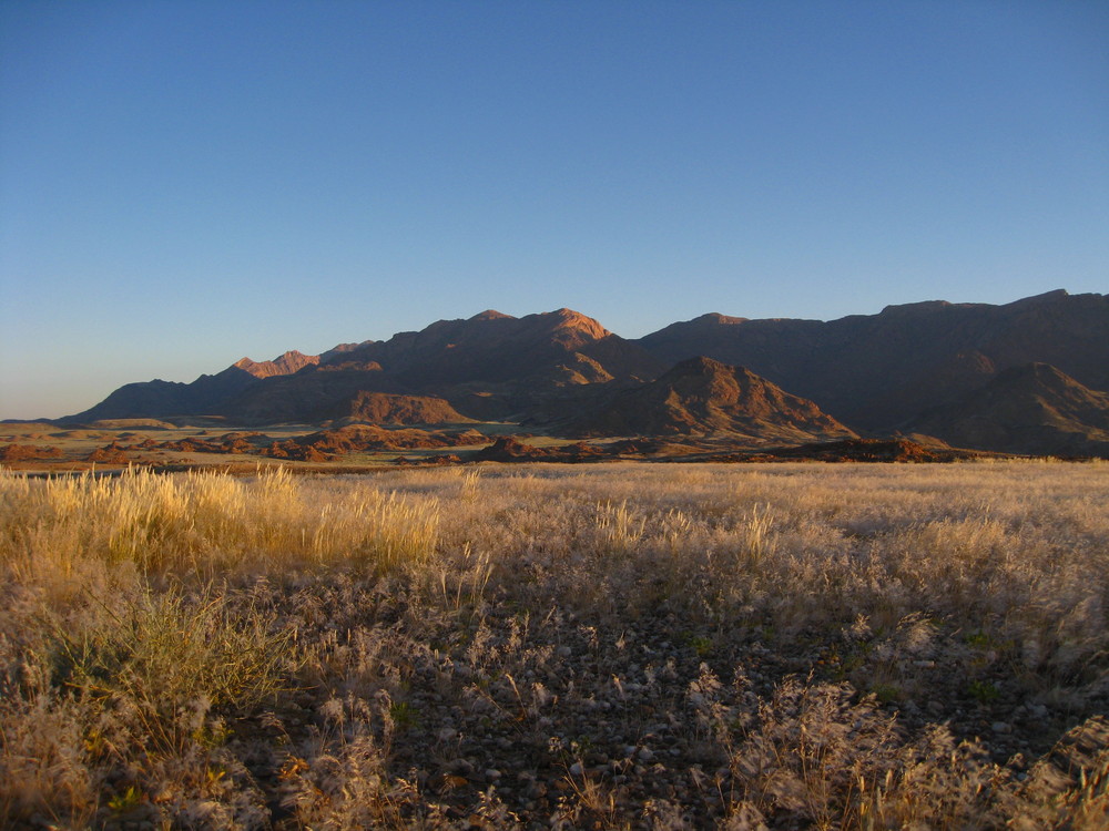 Namib