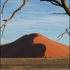 Namib 5