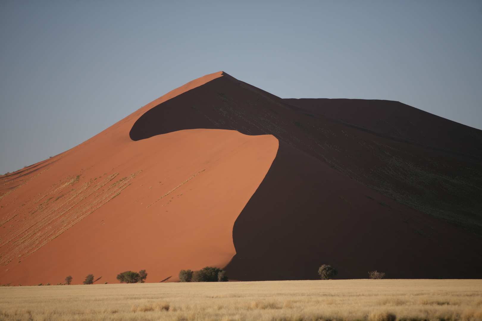 Namib